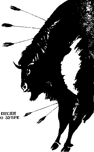 Дозорная ветка. Стихи и переводы - i_003.jpg