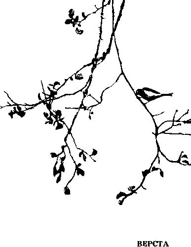 Дозорная ветка. Стихи и переводы - i_004.jpg