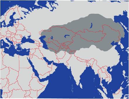 По следам Чингиз-хана. Генетик в центре Азии - _10.jpg