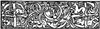 Сага о Вигдис и Вига-Льоте. Серебряный молот. Тигры моря: Введение в викингологию - i_046.jpg