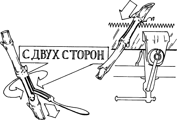 Все о саде и огороде - _11.png