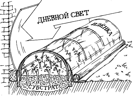 Все о саде и огороде - _26.png