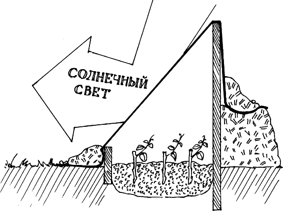 Все о саде и огороде - _27.png