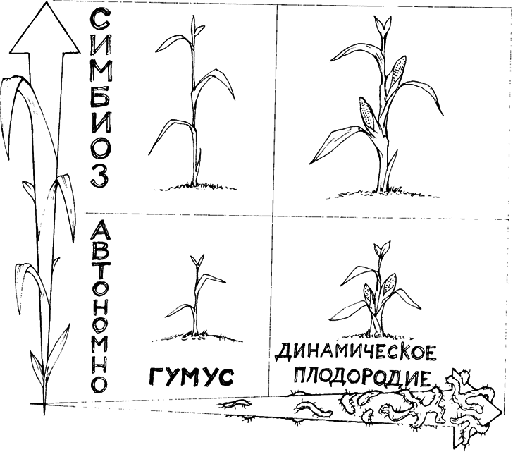 Самая полная энциклопедия огородника и садовода - _9.png