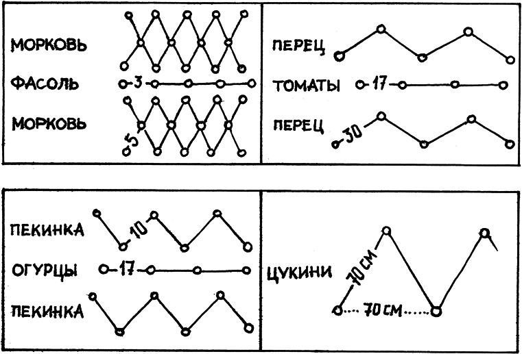 Самая полная энциклопедия огородника и садовода - _37.png