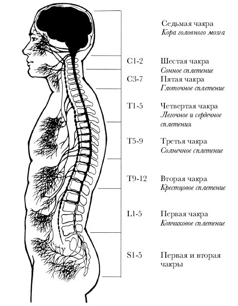 Чакры. Полная энциклопедия для начинающих - i_003.jpg