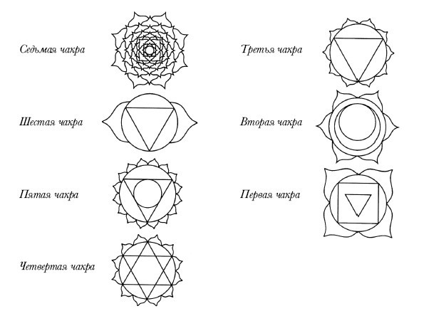 Чакры. Полная энциклопедия для начинающих - i_005.jpg