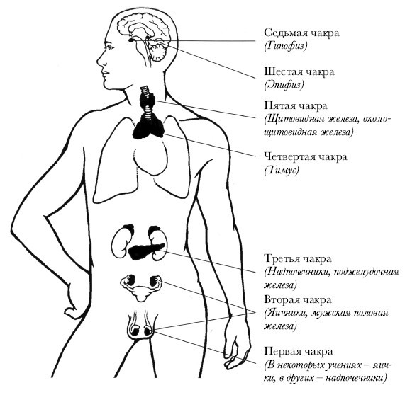 Чакры. Полная энциклопедия для начинающих - i_008.jpg