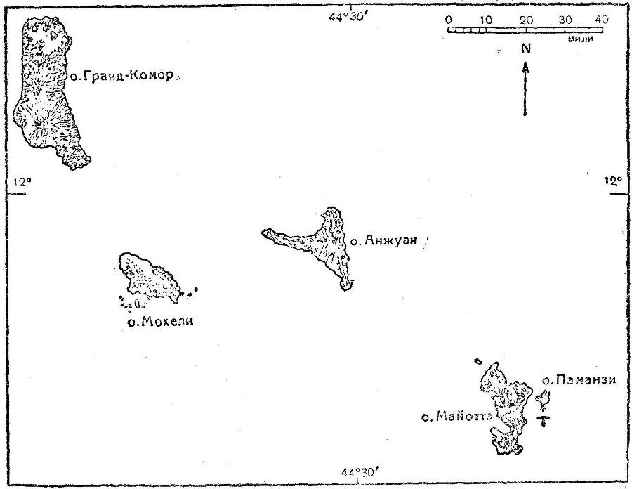 Старина четвероног - _6.jpg