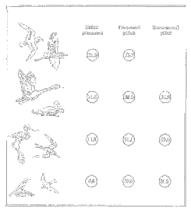 Почему перелетные птицы возвращаются домой - i_006.png