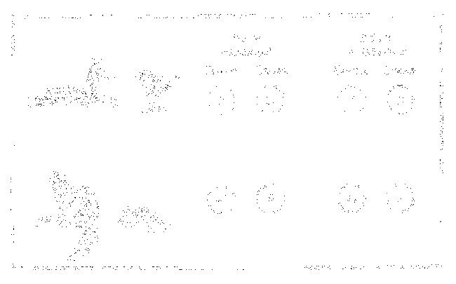 Почему перелетные птицы возвращаются домой - i_009.png