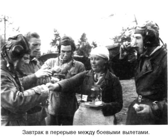 Я дрался на истребителе. Принявшие первый удар. 1941-1942 - any2fbimgloader42.jpeg