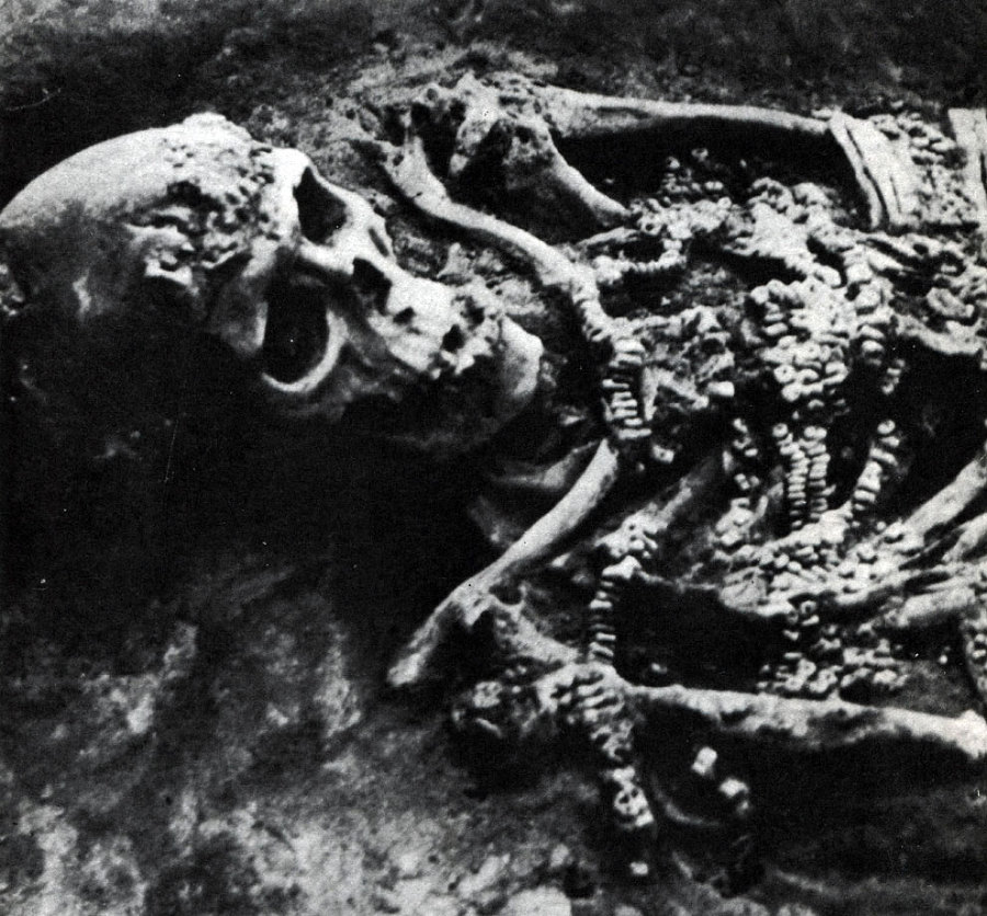 Кроманьонский человек - _27.jpg