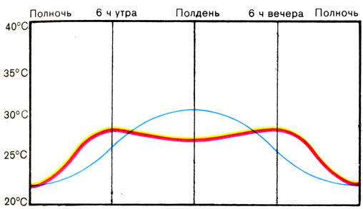 Жизнь до человека - _125.jpg