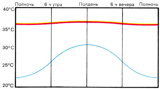 Жизнь до человека - _128.jpg