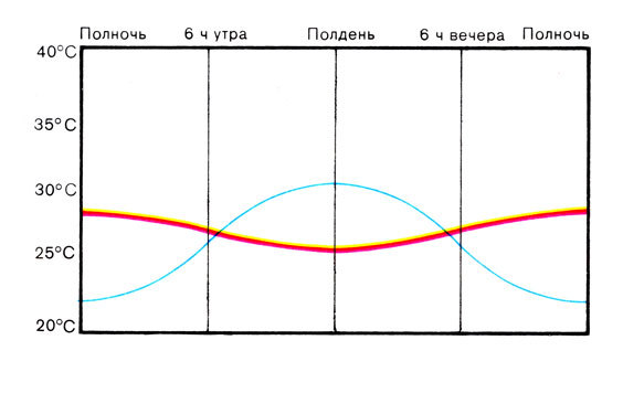 Жизнь до человека - _126.jpg