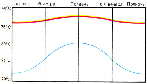 Жизнь до человека - _127.jpg