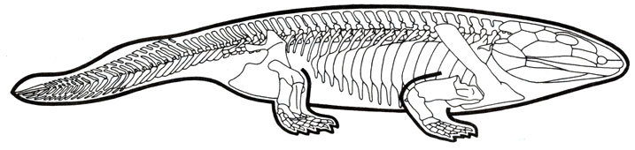 Жизнь до человека - _89.jpg