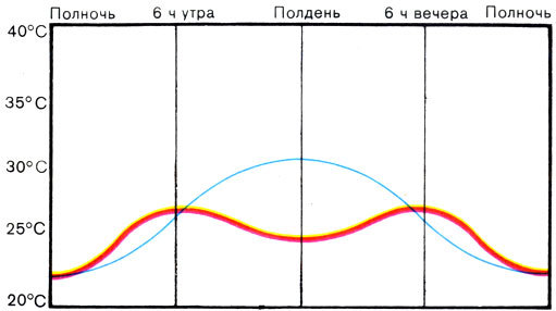 Жизнь до человека - _124.jpg