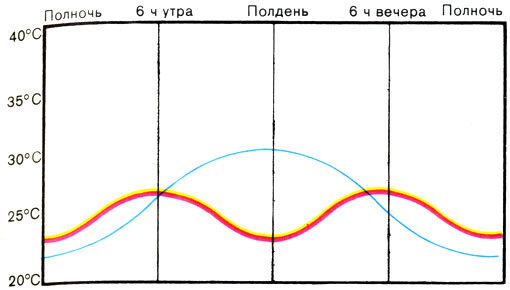 Жизнь до человека - _123.jpg