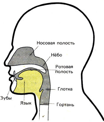 Первые люди - _64.jpg