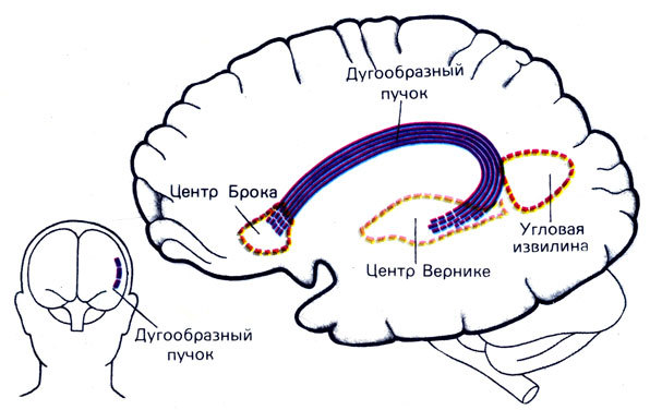 Первые люди - _68.jpg