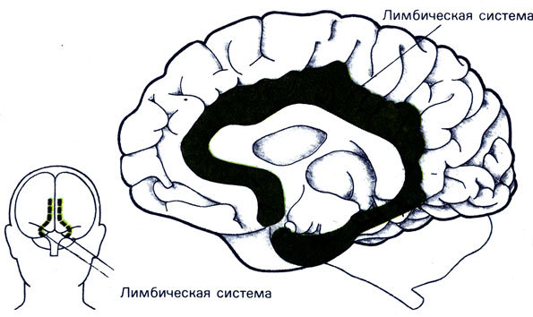 Первые люди - _69.jpg