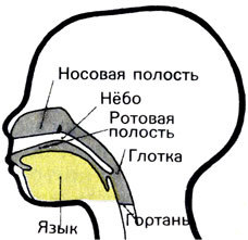 Первые люди - _66.jpg