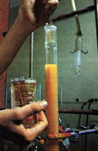 Неандертальцы - _42.jpg