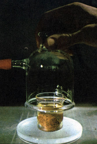 Неандертальцы - _55.jpg