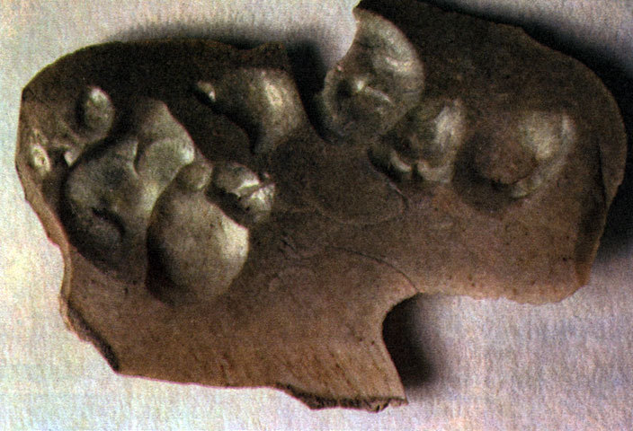 Неандертальцы - _45.jpg