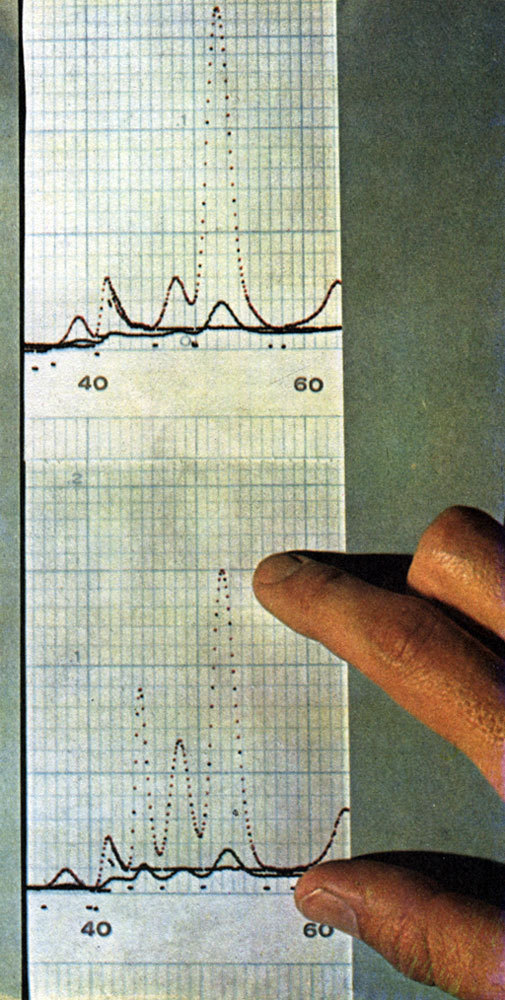 Неандертальцы - _44.jpg