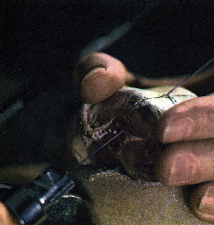 Неандертальцы - _49.jpg