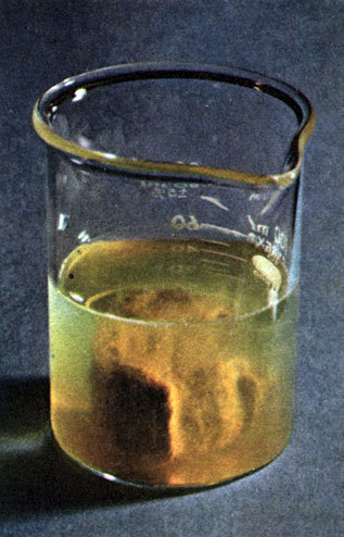 Неандертальцы - _41.jpg