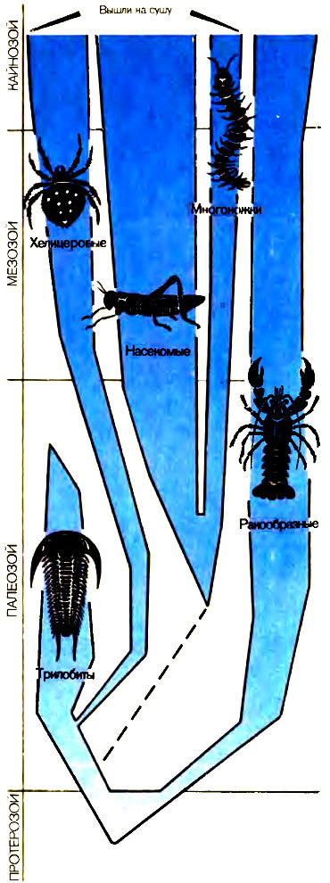 Живое прошлое Земли - doc2fb_image_02000066.jpg