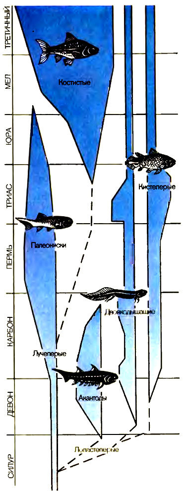 Живое прошлое Земли - doc2fb_image_0200009C.jpg