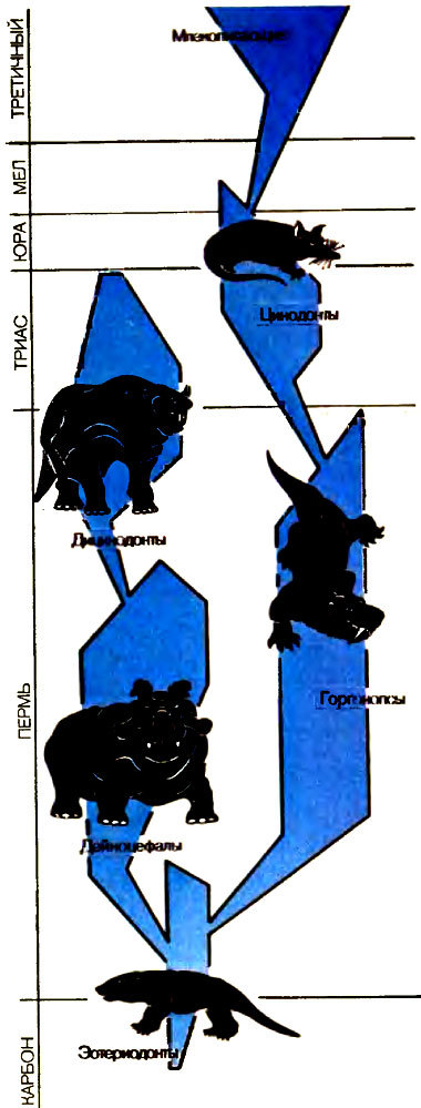 Живое прошлое Земли - doc2fb_image_020000F7.jpg