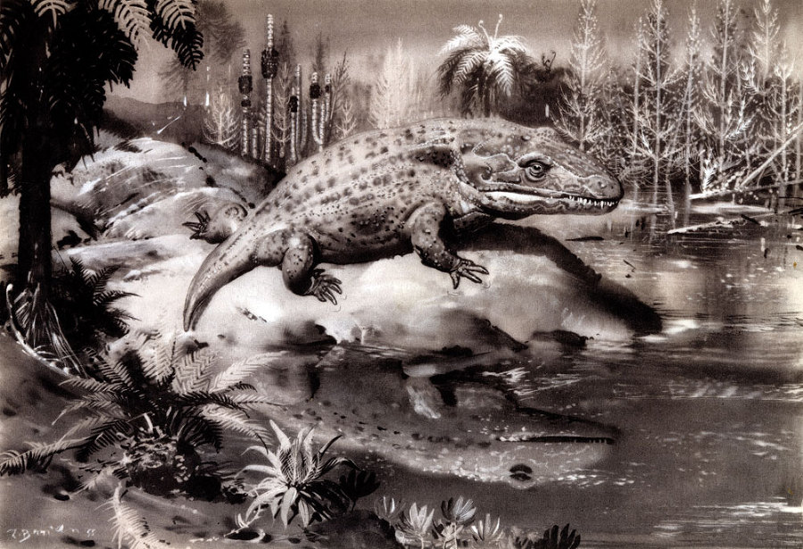 По пути развития жизни - doc2fb_image_02000012.jpg