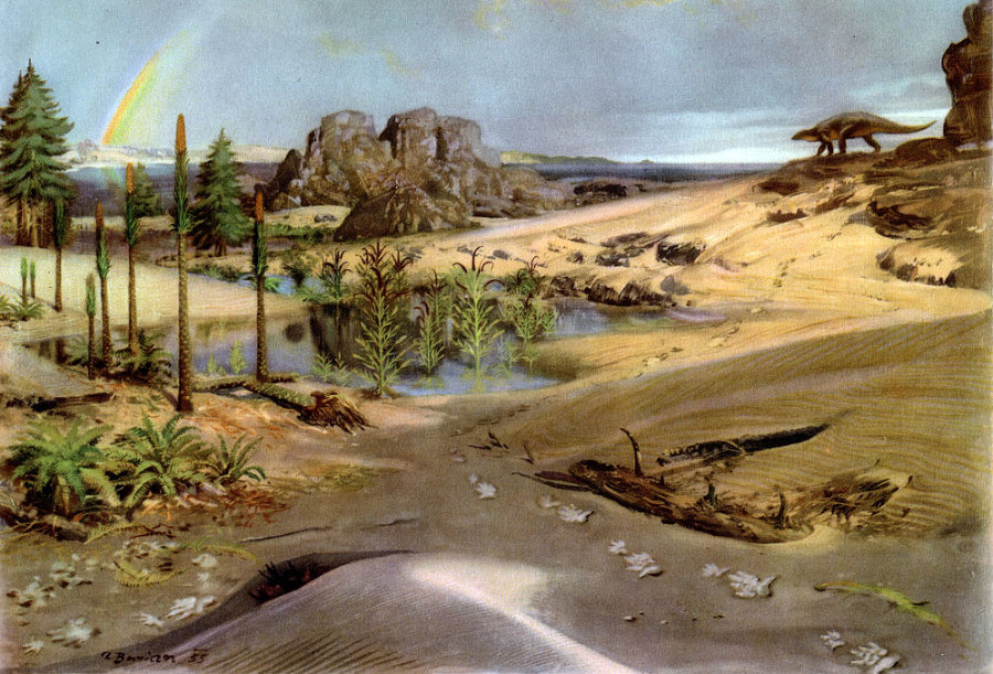 По пути развития жизни - doc2fb_image_02000013.jpg