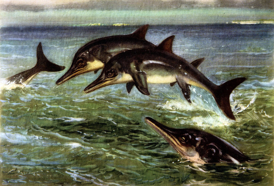 По пути развития жизни - doc2fb_image_02000014.jpg