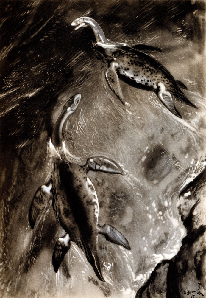 По пути развития жизни - doc2fb_image_02000016.jpg