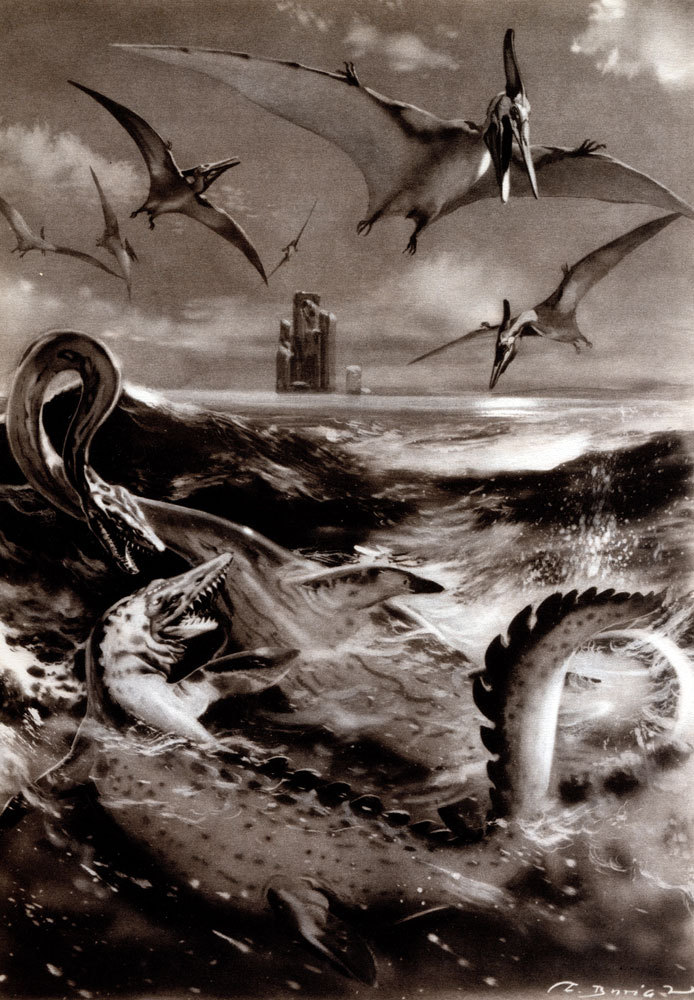 По пути развития жизни - doc2fb_image_02000017.jpg