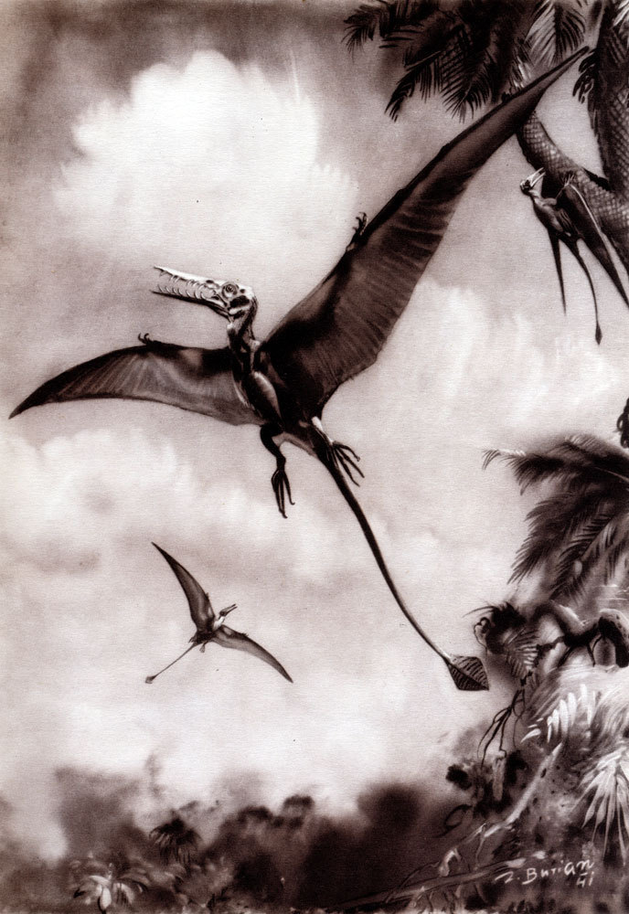 По пути развития жизни - doc2fb_image_02000018.jpg