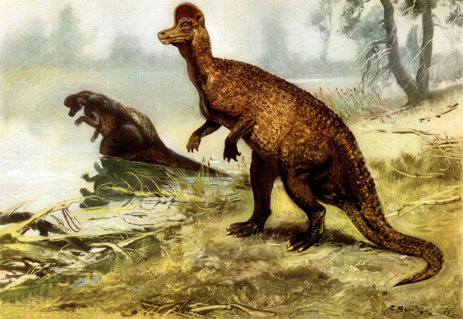 По пути развития жизни - doc2fb_image_02000024.jpg