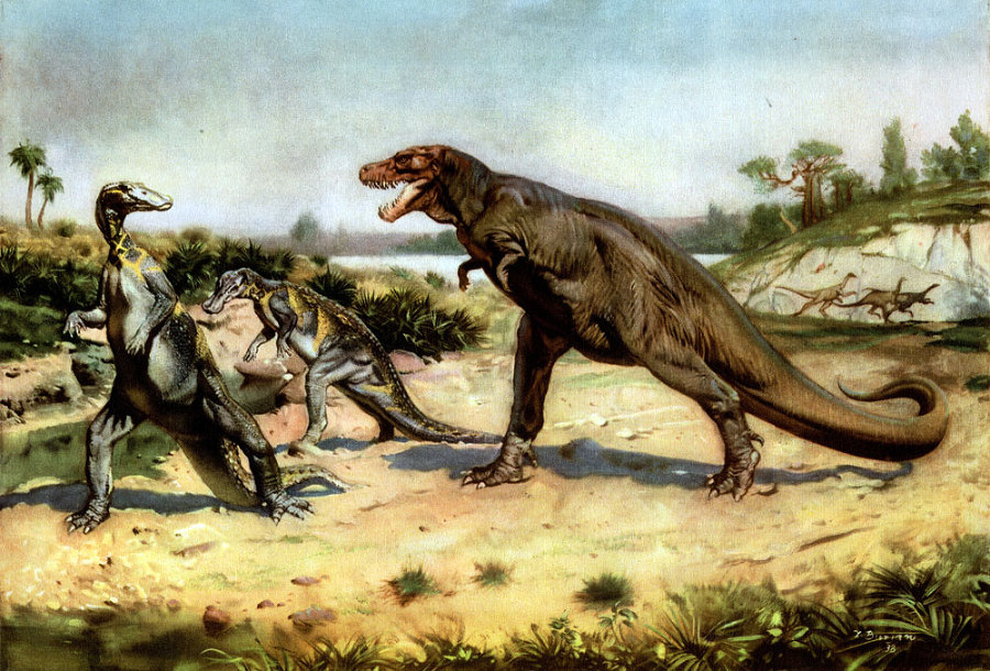 По пути развития жизни - doc2fb_image_02000025.jpg