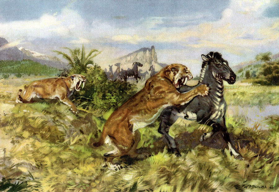 По пути развития жизни - doc2fb_image_0200003D.jpg