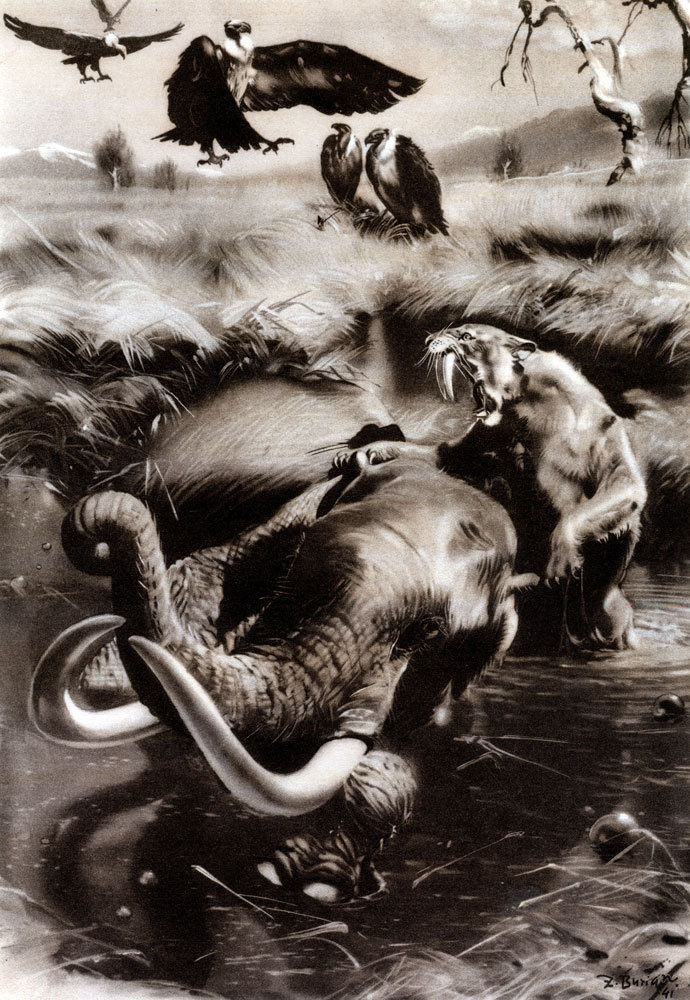 По пути развития жизни - doc2fb_image_0200003E.jpg