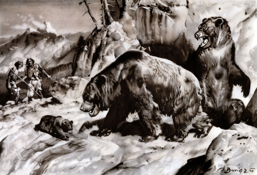 По пути развития жизни - doc2fb_image_0200003F.jpg