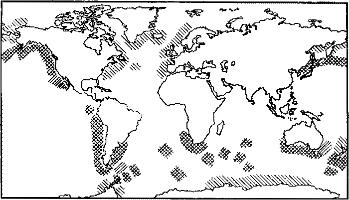 Морские львы и котики - i_026.png