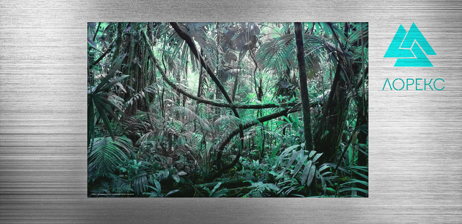 Наемники Нэсса: Новая жизнь. Часть 1 (СИ) - _7.jpg